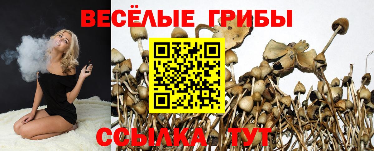 Лсд 25  Вход с VPN  Канабис  ЭКСТАЗИ  A-PVP СОЛЬ   АМФ   Нижний Новгород  МЕФ кристаллы  ГАШ  ГАШ 