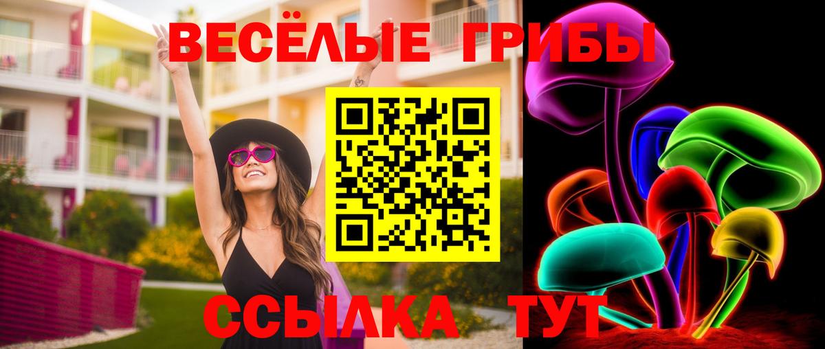 Нижний Новгород  Псилоцибиновые грибы мицелий  Вход с VPN 