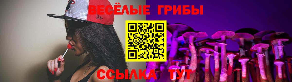 Галлюциногенные грибы Cubensis Нижний Новгород